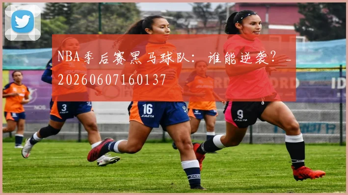 NBA季后赛黑马球队：谁能逆袭？_20260607160137